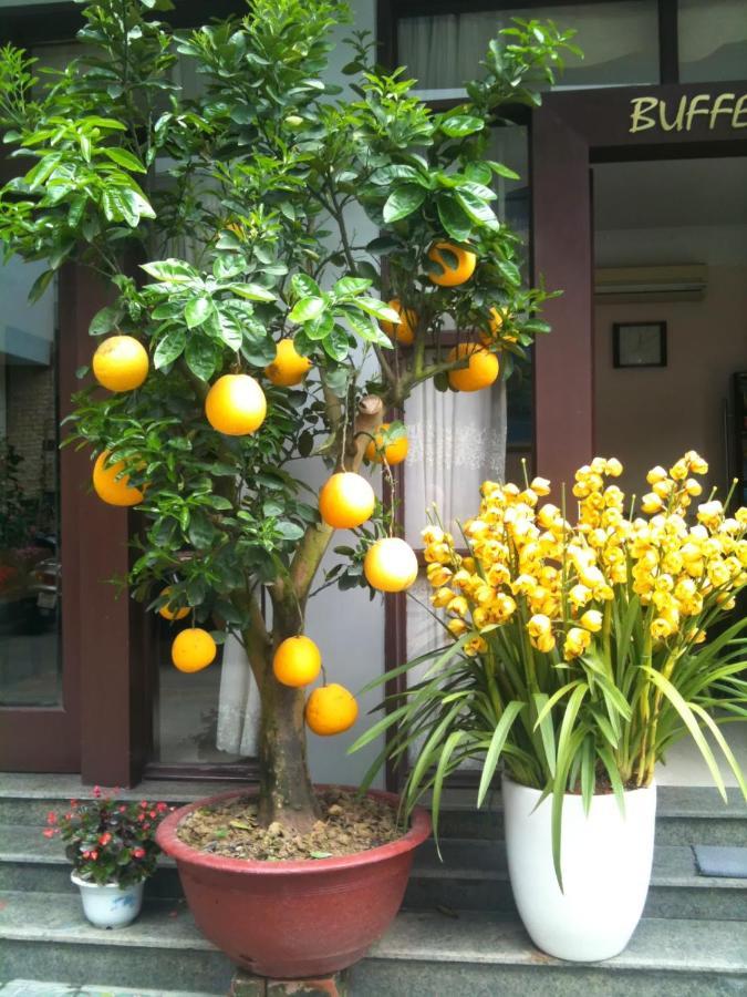 Thien Anh Hotel 하이퐁 외부 사진